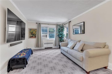 White Oak Cooperative Housing unit 2A, New Rochelle, NY 10801 - photo 4