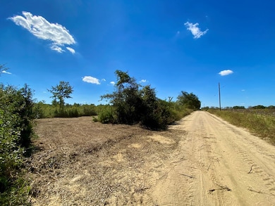 0 Cal Thomas Rd, Whigham, GA 39897 - photo 7