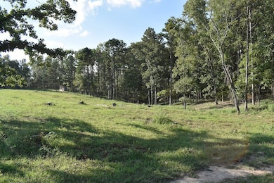 20298 Highway Vv, Licking, MO 65542 - photo 3