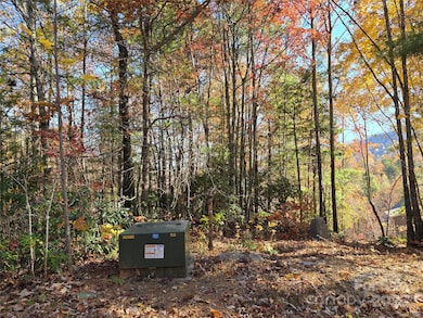 295 S Feather Falls Trail unit 50, Black Mountain, NC 28711 - photo 5