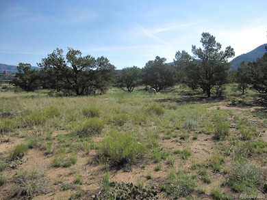 30036 Teal Run unit 13, Buena Vista, CO 81211 - photo 3