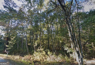 3 ACRES Lewis Ln SW, Eulonia, GA 31331 - photo 6