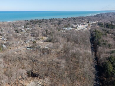 16351 Red Arrow Hwy, Union Pier, MI 49129 - photo 5