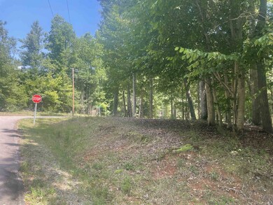 103 Chama Dr, Louisburg, NC 27549 - photo 4