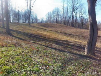 0 Henrie Ln unit M239703, Williamstown, WV 26187 - photo 4