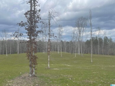 0004 Truman Aldrich Pkwy, West Blocton, AL 35184 - photo 6