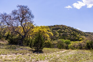 0 unit 1890104, Medina, TX 78055 - photo 4