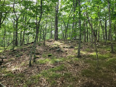 31 Rumsey Rd, York, ME 03909 - photo 6