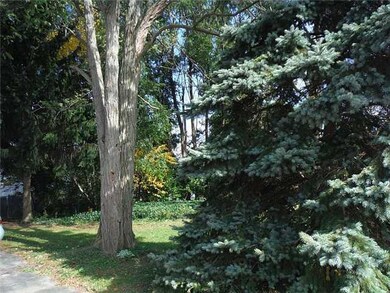 Yard/Garden