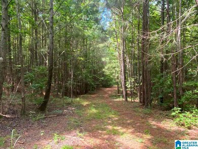 0 County Road 99 unit 39 Acres 1293078, Wedowee, AL 36278 - photo 3