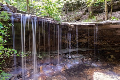 537 Watson Rd, Branson, MO 65616 - photo 3