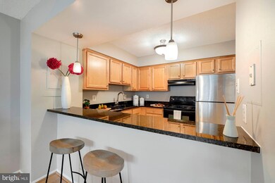 The Brittany unit 708, Arlington, VA 22204 - photo 3