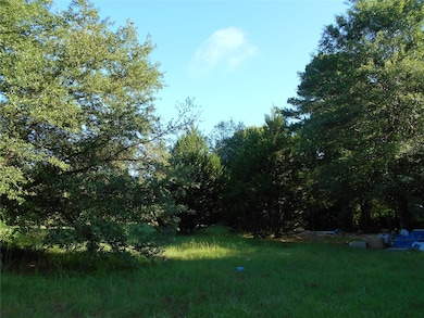 TBD Fm 943 Rd, Kountze, TX 77625 - photo 6