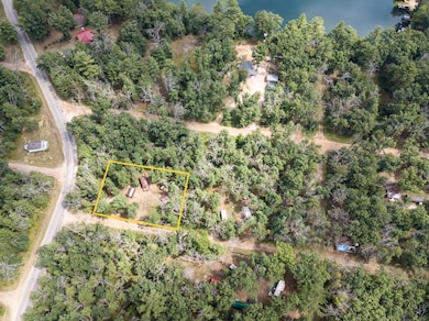 8532 1st St, Baldwin, MI 49304 - photo 3