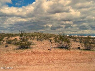 Pristine Desert Vegetation!