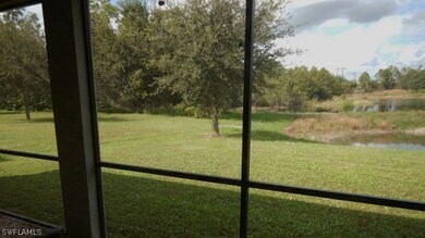 11053 River Trent Ct, Lehigh Acres, FL 33971 - photo 7