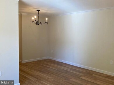 5911 Quantrell Ave unit T3, Alexandria, VA 22312 - photo 6