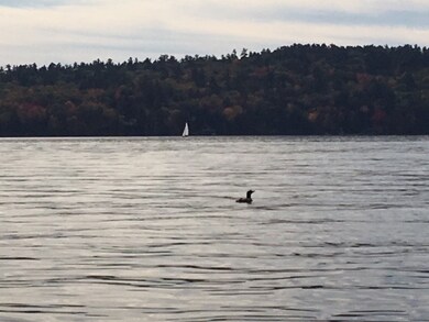 76 Mountain Rd, Center Sandwich, NH 03227 - photo 3