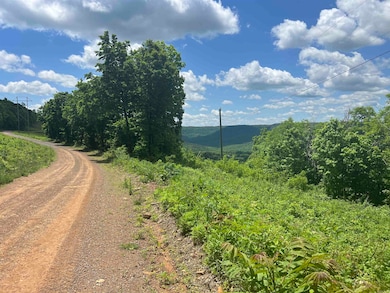 TBD Lick Fork Rd, Witt Springs, AR 72686 - photo 3