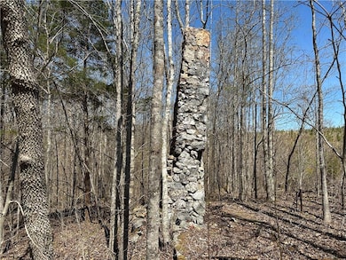 1849 Prior Station Rd, Cedartown, GA 30125 - photo 2