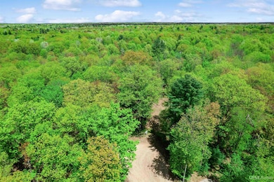Aerial view of Rivervew Dr. from River Rd intersection. Lot is at the end of the road on the right.