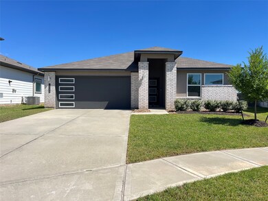 14206 Black Canyon Ln, Conroe, TX 77384 - photo 2