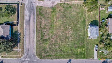 Ariel View