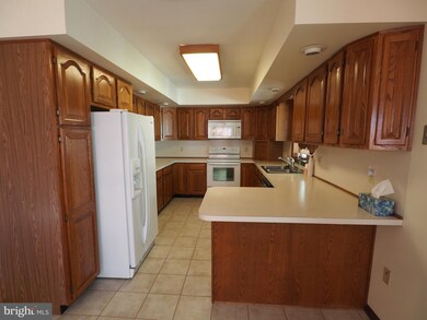 1009 Spring Rd, Andreas, PA 18211 - photo 5