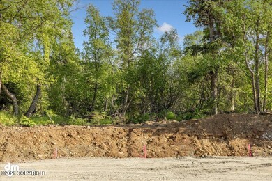 L4 Snow Flake Cir, Anchorage, AK 99516 - photo 4