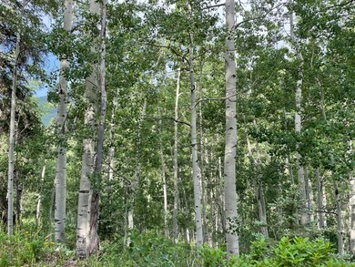 0 S Silver St unit 13-14 43499, Rico, CO 81332 - photo 5