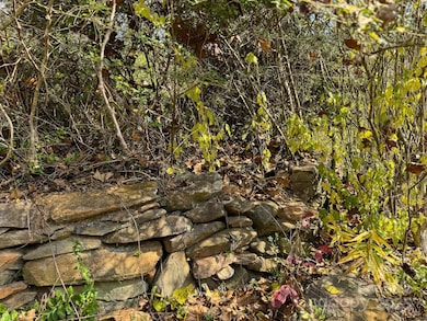 3510 U S 64, Rutherfordton, NC 28139 - photo 4