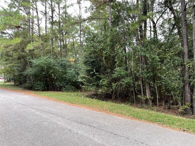 29714 Sweetwater St, Magnolia, TX 77354 - photo 4