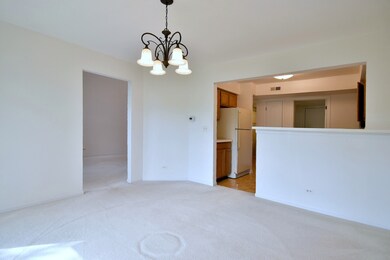 1609 W Orchard Place unit D, Arlington Heights, IL 60005 - photo 5