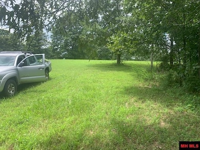 001-04806-002 Colonial Ln, Yellville, AR 72687 - photo 3