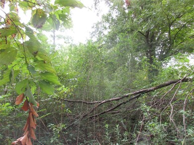 3018 Brownie Campbell Rd, Houston, TX 77038 - photo 6