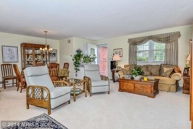 5935 6th St, Falls Church, VA 22041 - photo 4