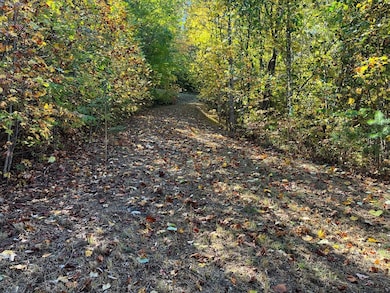 View Looking Back up towards Road