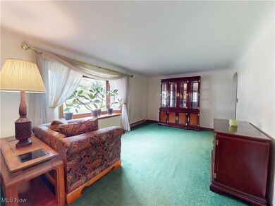 8223 Broadmoor Rd, Mentor, OH 44060 - photo 4