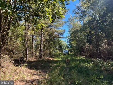 0 Twymans Mill Rd unit VAMA2001908, Madison, VA 22719 - photo 6