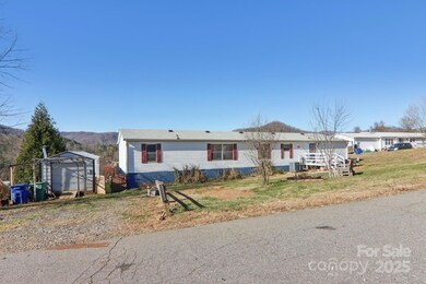 99 Colton Dr, Leicester, NC 28748 - photo 4