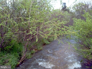 0 Native Trout Ln unit 1003504916, Moyers, WV 26815 - photo 4