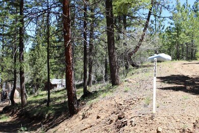 62390 Haggard Loop, John Day, OR 97845 - photo 5