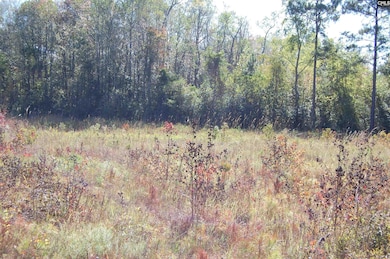 322 Sandspur Rd, Camden, SC 29020 - photo 2