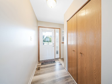 274 White Hawk Way, Manteno, IL 60950 - photo 5