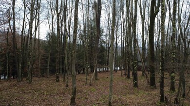 176 Laurel Cir, Terra Alta, WV 26764 - photo 7