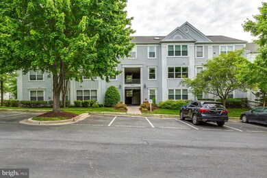 2603 Camelback Ln unit 3, Silver Spring, MD 20906 - photo 2