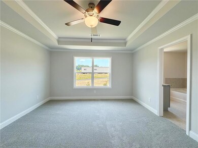 Spare room featuring a raised ceiling, ornamental 