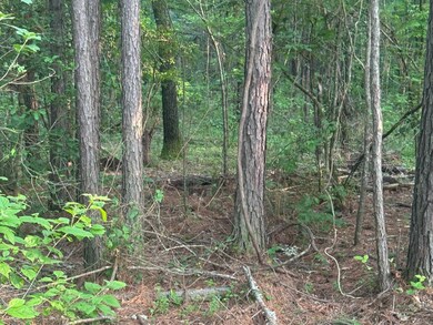 0 Columbia 17 unit 11529024, Stamps, AR 71860 - photo 4