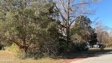 0 George St, Belhaven, NC 27810 - photo 2