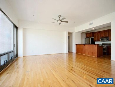 112 5th St SE unit 3B, Charlottesville, VA 22902 - photo 2